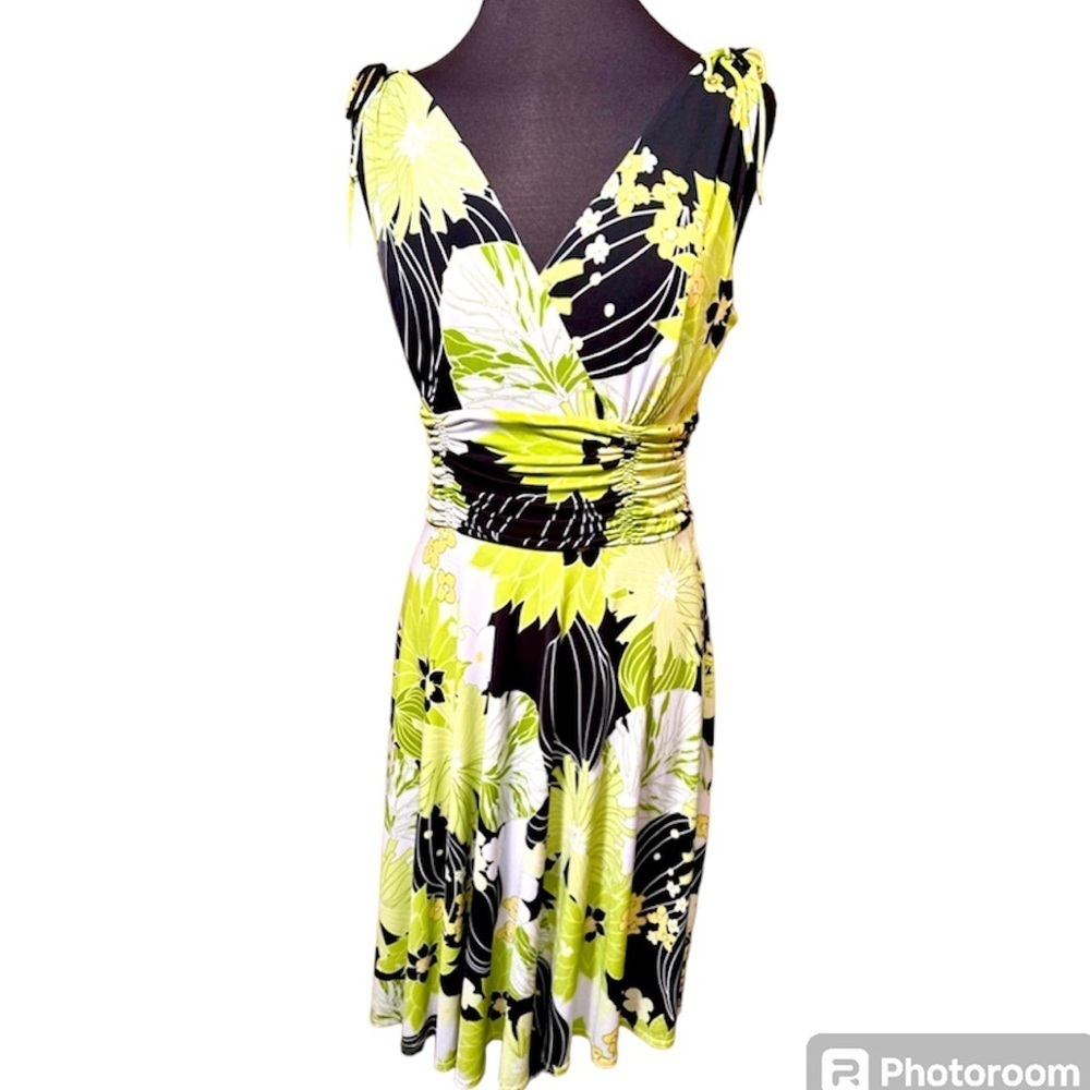 Scarlet size 10 sleeveless V-neck dress